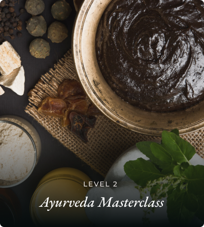 Level 1 & 2 Ayurveda masterclass